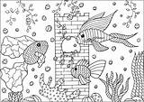 Pesci Poissons Peces Ryby Fishes Kolorowanka Adulti Fische Akwariowe Adultos Druku Justcolor Jolis Rybki Aquatiques Nageoires Motifs Plantes Pleines Aquatic sketch template