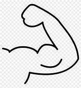 Outline Muscle Arm Cartoon Flexing Flex Comments Pngfind sketch template