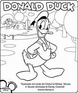 Coloring Pages Lui Calibre Template Donald sketch template