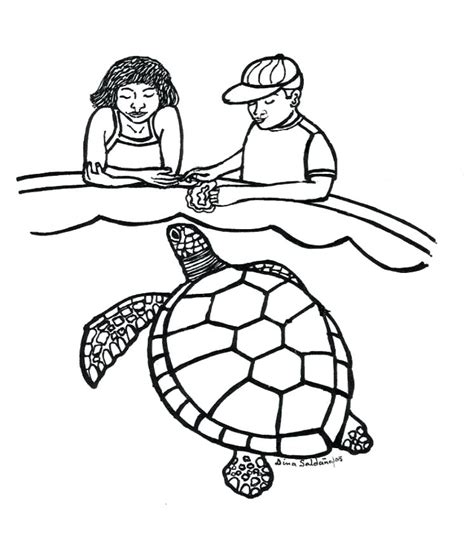 green sea turtle drawing  getdrawings