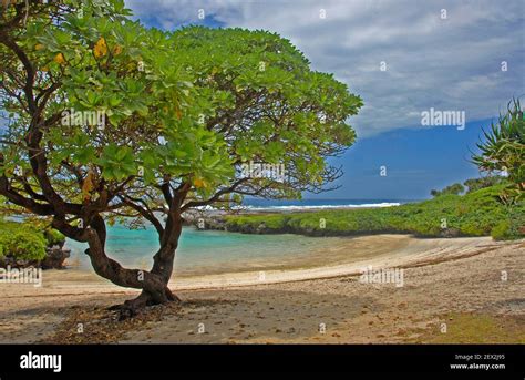beach efate island vanuatu stock photo alamy