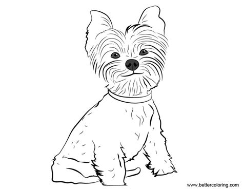 yorkie coloring pages  drawing  printable coloring pages