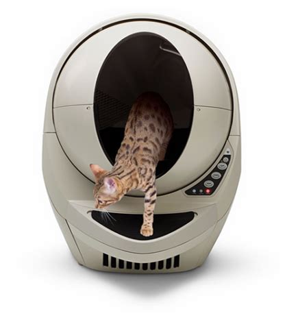 clean litter robot easy step  step instructions