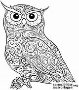 Coloring Eule Ausmalen Ausdrucken Owls Malvorlagen Kostenlos Getdrawings Buho sketch template