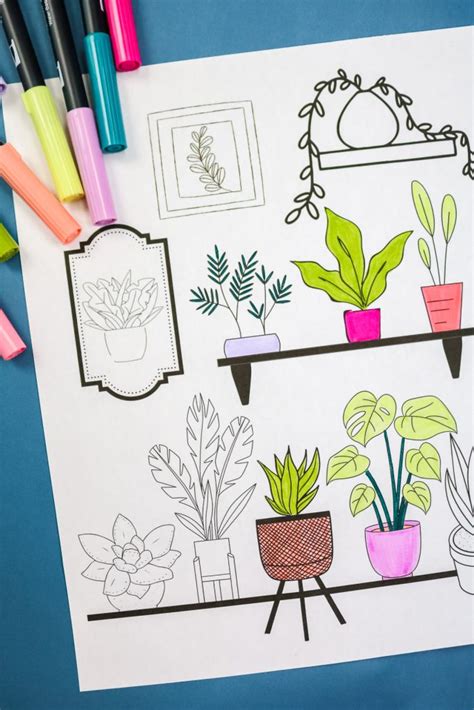 plant coloring page perfect  adults   coloring fun angie