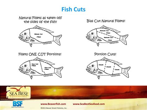 seafood  guide powerpoint    id