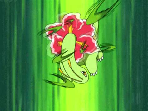 My Favorite Grass Type Is Pokémon Amino