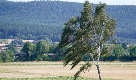 Emiten Alerta Temprana Preventiva Por Intenso Viento Que Afectaría A La