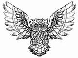 Owl Coloring Pages Drawing Owls Advanced Printable Color Raw Kids Adults Online Animals Print Drawings Children Book Beautiful Justcolor Incredible sketch template