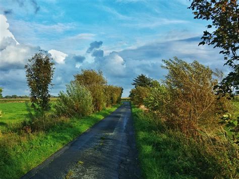 무료 이미지 경치 나무 자연 잔디 구름 도로 들 카메라 사진 작가 아침 잎 언덕 꽃 봄 가을 시즌