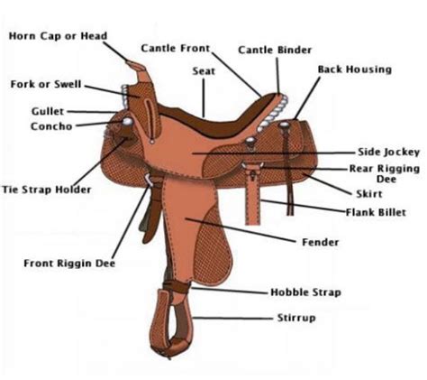 parts   saddle horse saddles horse camp horse show clothes