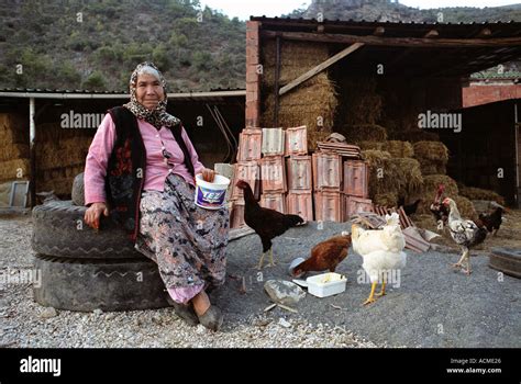 Older Turkish Woman Tending Her Chickens On A Farm In A Small Village