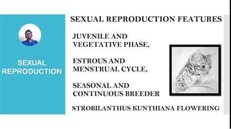 05 part 01 sexual reproduction features and some