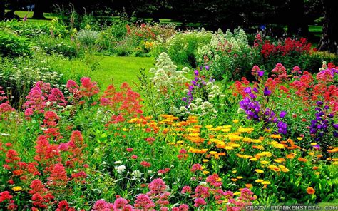 Beautiful Photos Of Flower Gardens