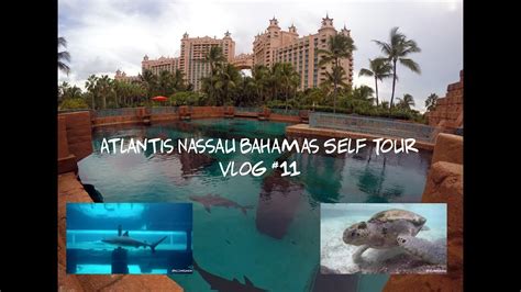 Travel Vlog Atlantis Nassau Bahamas Self Tour Vlog 11 Youtube