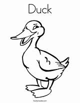 Duck Coloring Wood Pages Getcolorings sketch template