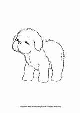 Puppy Colouring Coloring Sheepdog Pages Dog Drawings Dogs Animals Become Member Log Village Activity Explore 650px 4kb sketch template