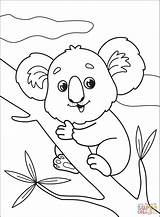 Koala Supercoloring sketch template