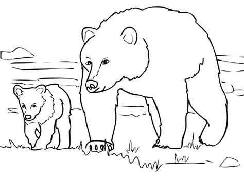 promenade bears kids coloring pages page gtm kxjcd