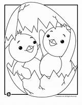 Coloring Pages Baby Chicks Chicken Chickens Cliparts Chick Animal Printable Print Kids Clipart Duckling Ugly Little Jr Popular Library Cartoon sketch template
