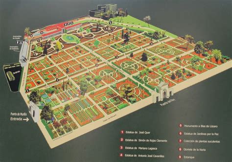 arboles de madrid el gato por las ramas cipres del real