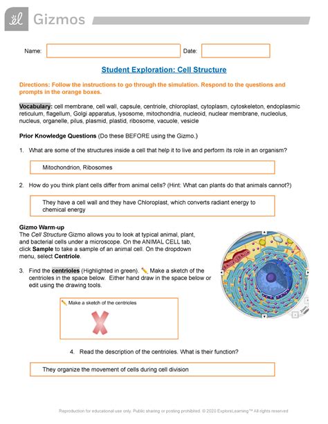 cell structure gizmo student exploration  date student