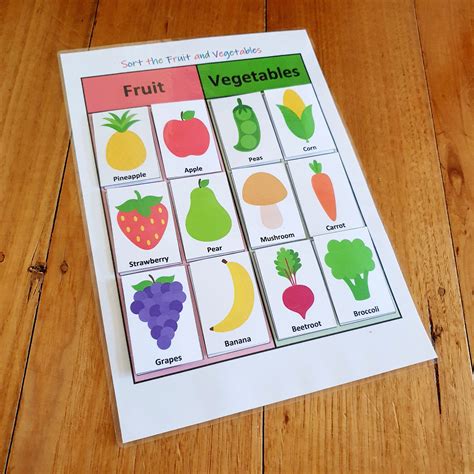 fruit  vegetable sorting printable busy book page etsy