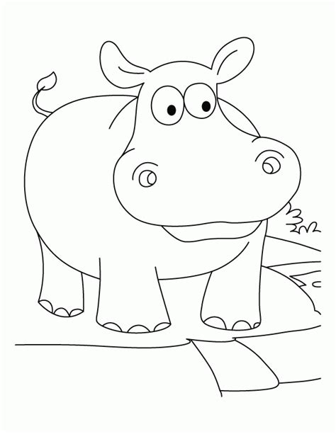 gambar  cute  printable hippo coloring pages toddlers baby hippos