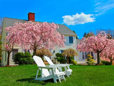 house  spring stock photo image  bushes england