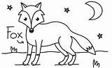 Nocturnal Animals Colouring Toucanbox Activities Garden Find Sheet sketch template
