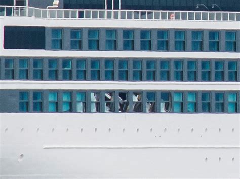 cruise ship passenger  fell  ship swam  sharks   hours