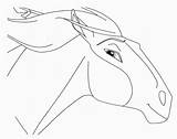 Stallion Cimarron Dreamworks Corcel Indomable Visit Caballos Cumple sketch template