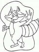 Raccoon Coloring Pages Kids Printable sketch template