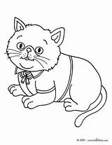 Cat Coloring Pages Elegant Color Splat Print Pet Printable Kids Drawings Animals Colouring Kitty Colour sketch template