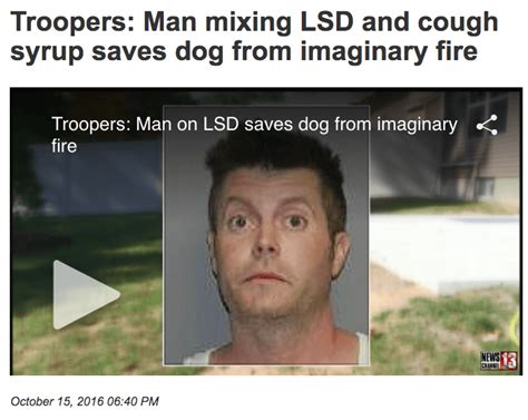 absurdly funny news headlines    perfect   real