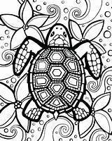 Coloring Turtle Pages Sea Baby Getcolorings sketch template