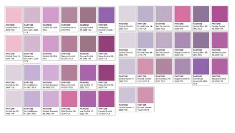 purples pink color chart pantone color chart color names chart