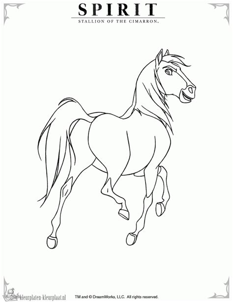 spirit stallion coloring page coloring home