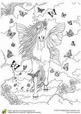 Coloriage Cheval Papillon Licorne Sara Pegasus Hugolescargot Poney Colorier Coloriages Vleugels Adult Adulte Mandala Papillons Fée Kleuren Enregistrée sketch template