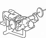 Press Bench Drawing Decline Barbell Getdrawings sketch template