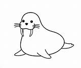 Walrus Coloring Pages Drawing Seal Animal Cartoon Antarctica Ocean Clipart Cute Funny Animals Printable Kids Colouring Mustache Arctic Clip Line sketch template