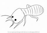 Termite Draw Drawing Step Tutorials Drawingtutorials101 Insects sketch template