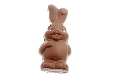 chubby  cheerful chocolate candy bunny creative commons stock image