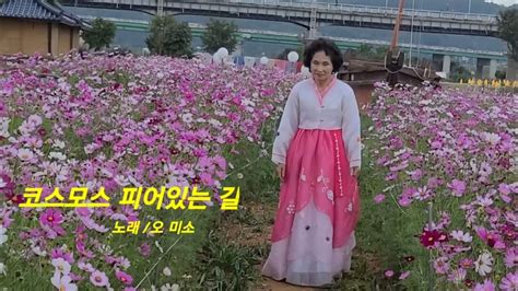 코스모스피어있는길 🎤오미 소 🎶원곡 김상희 youtube