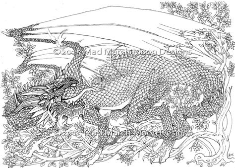 dragon coloring pages  adults  printable tan