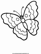 Farfalle Farfalla Butterflies sketch template
