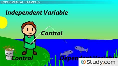 independent dependent variables definition examples lesson