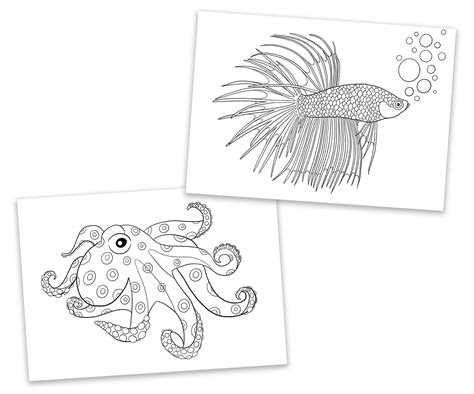 kids  adult coloring pages  printable coloring book etsy