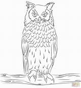 Uhu Sowa Puchacz Owls Malvorlage Horned Kolorowanka Sumptuous Bengalese Kolorowanki Innen Indyjski Ausdrucken Eulen Malvorlagen Vogel Kinderbilder Eule Supercoloring Druku sketch template