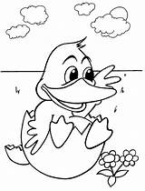 Coloring Pages Ducks Baby Duck Para Funny sketch template